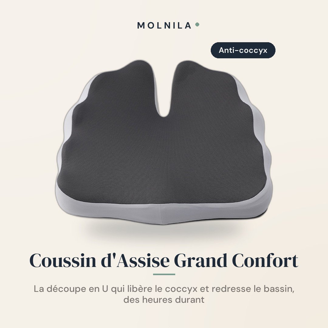 Coussin d'Assise Ergonomique Grand Confort