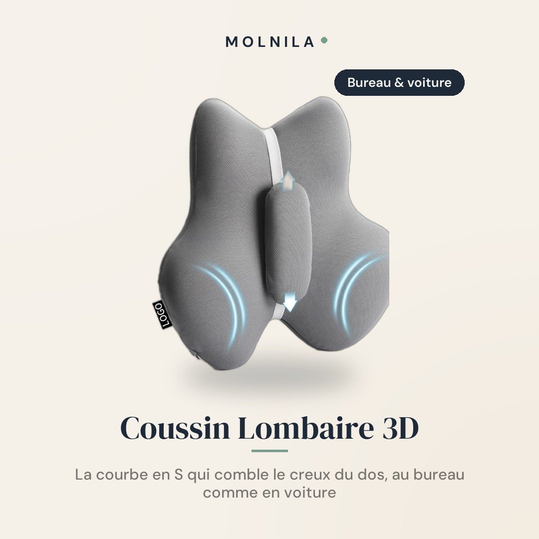 Coussin Lombaire Ergonomique — Soutien Dorsal 3D