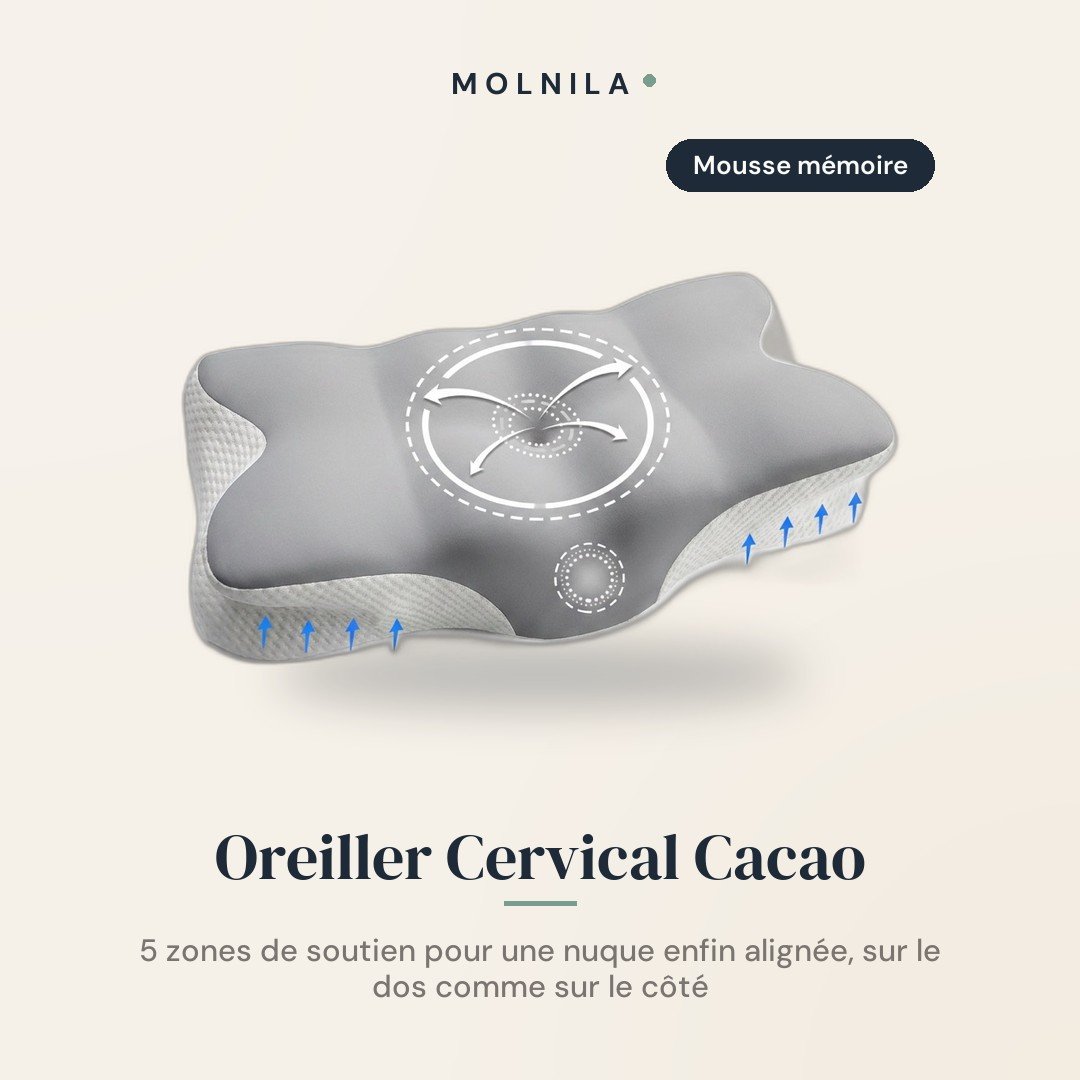 Oreiller Cervical Cacao — Zones de Soutien Ciblées